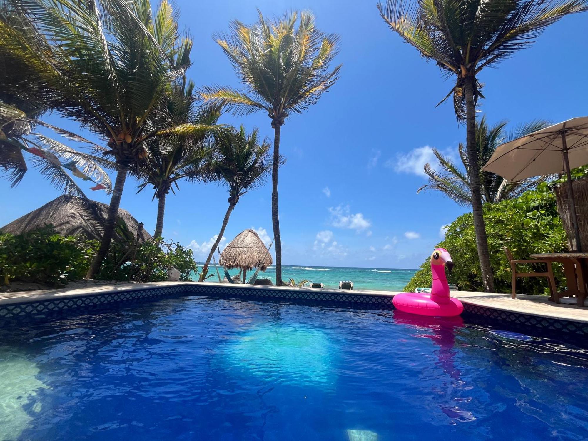 Beachfront Hammock Heaven أكومال المظهر الخارجي الصورة